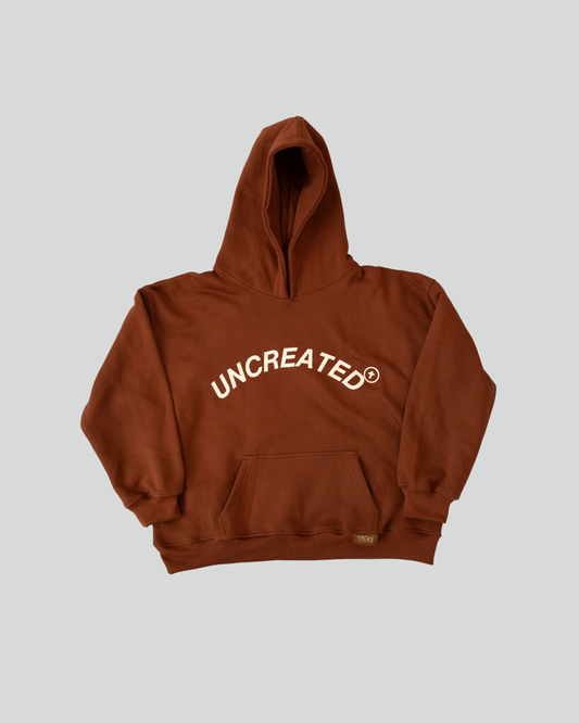 God’s Moving in Tampa Bay Hoodie — Chocolate